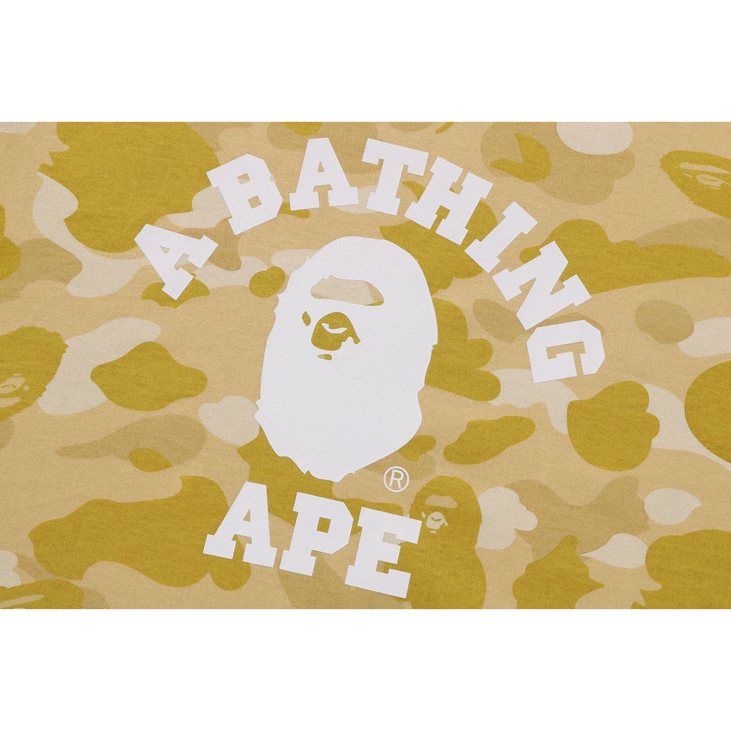 COLOR CAMO COLLEGE TEE MENS