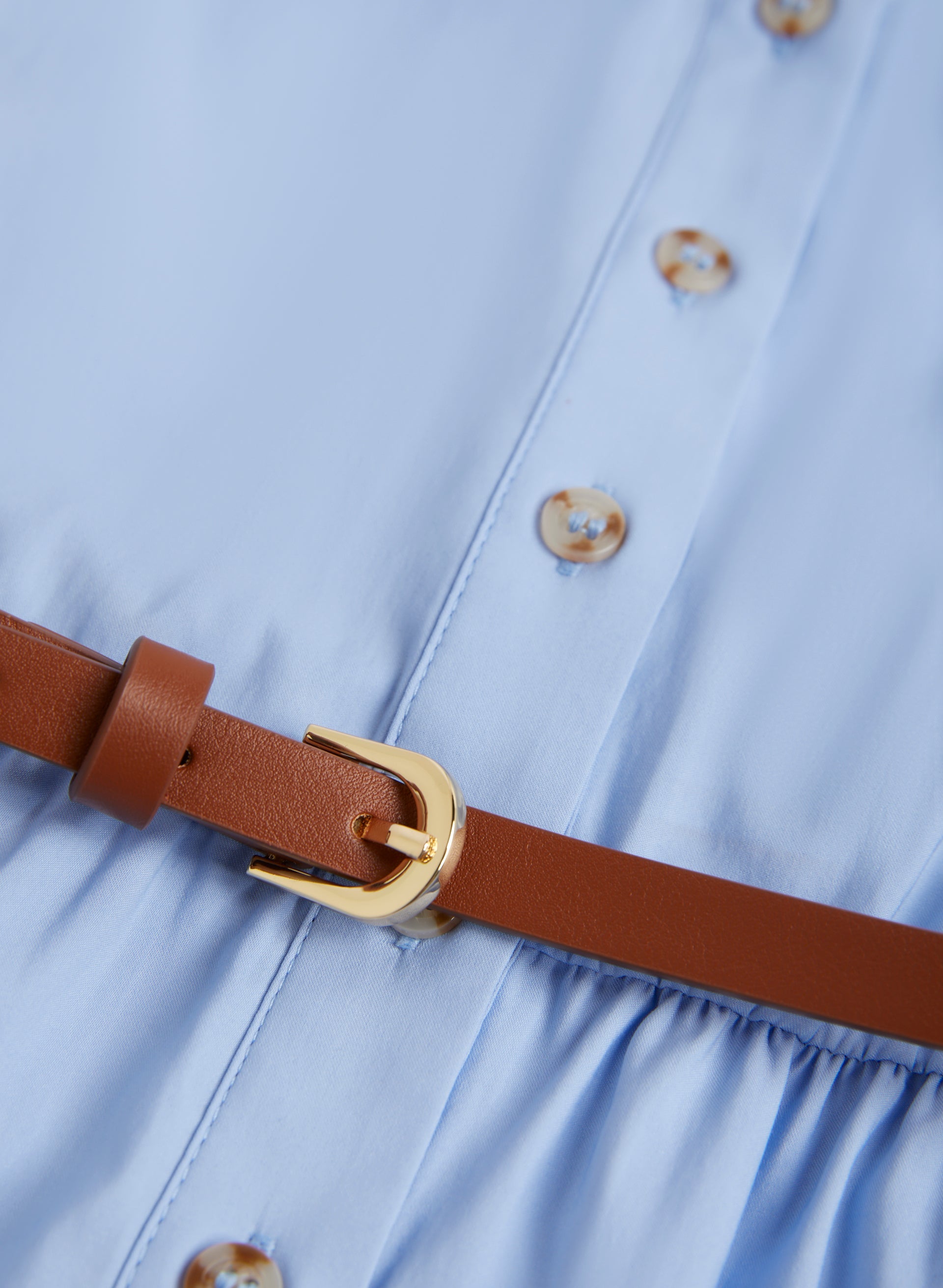 Belted Button Front Dress