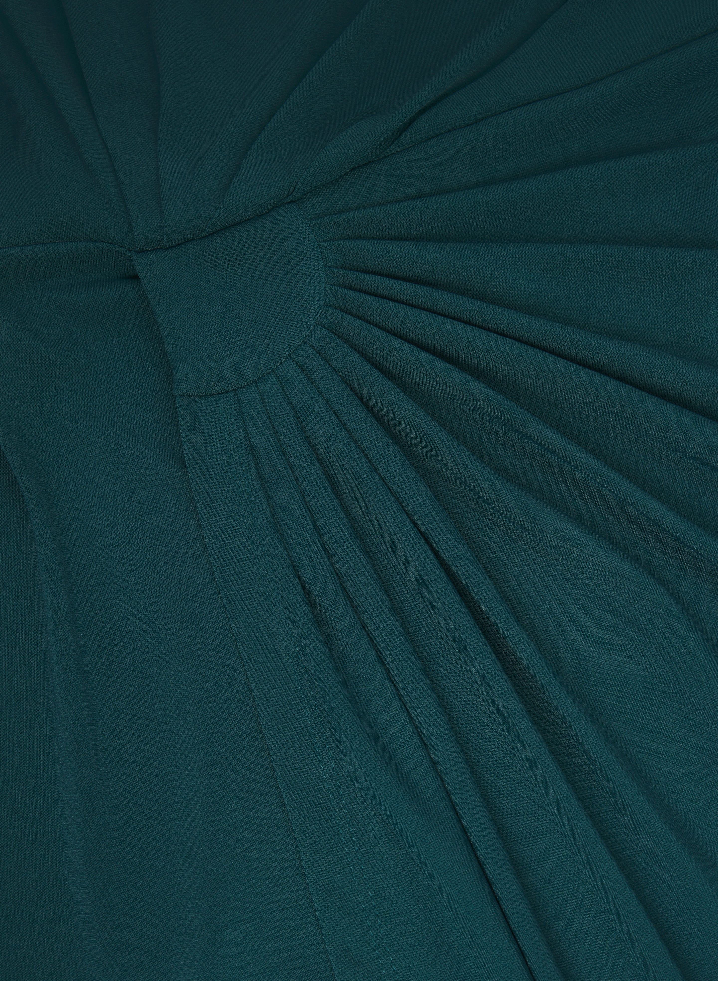 Chiffon Sleeve Dress