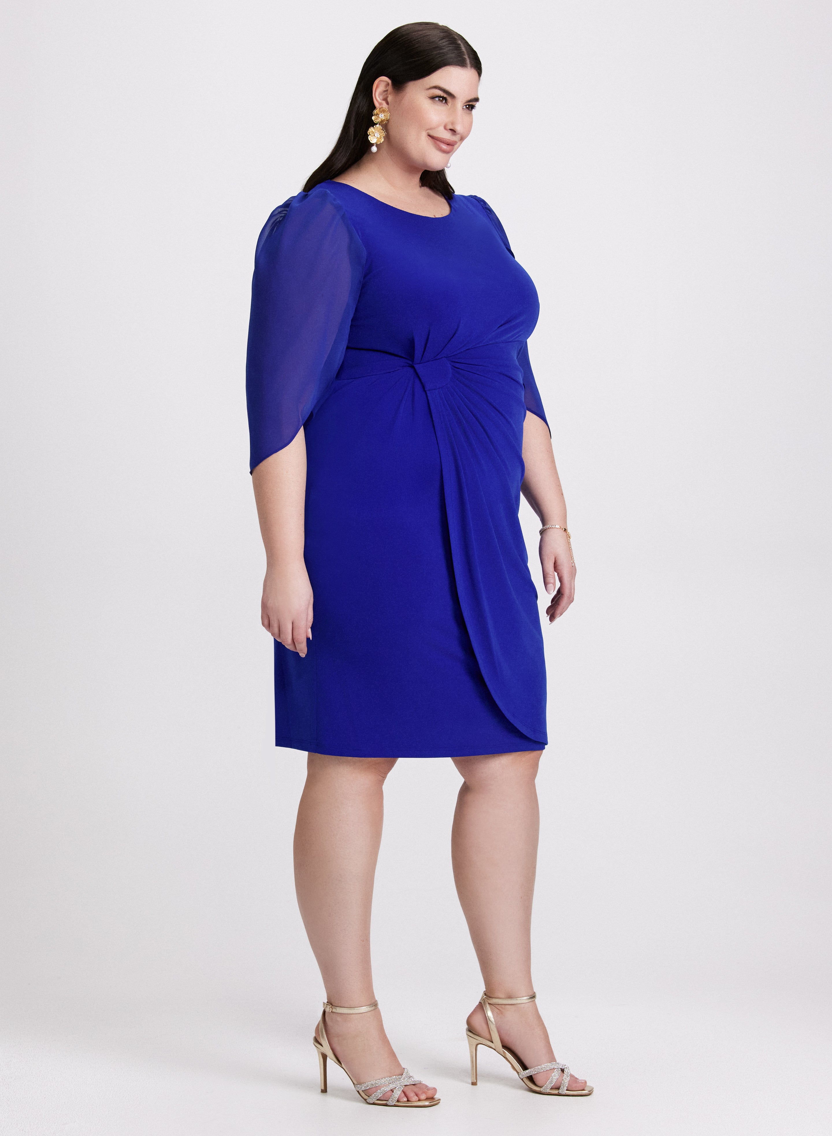 Chiffon Sleeve Dress